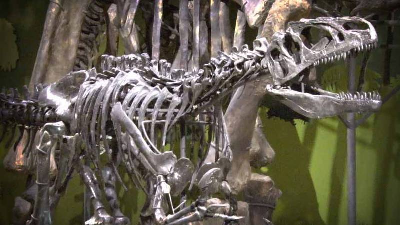 The Cleveland Museum of Natural History has some unique dinosaur exhibits. (Source: WOIO)