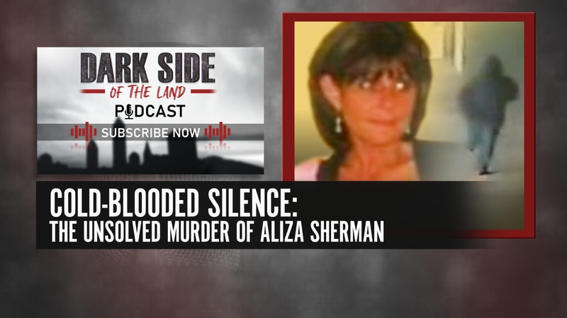 Dark Side of the Land goes inside the investigation into the unsolved 2013 murder of Aliza...
