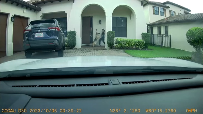 A dog attack in Cooper City, Florida, was caught on a delivery driver’s dash camera.