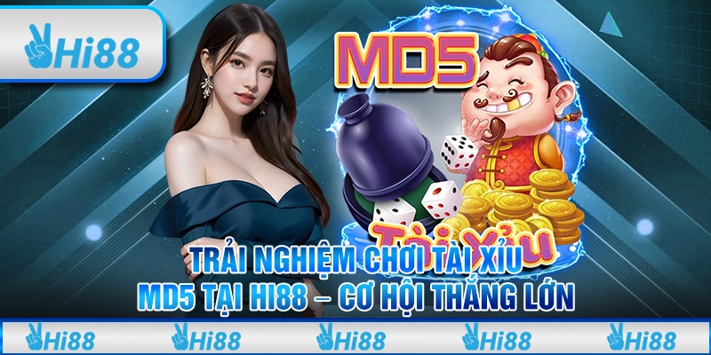 Trải nghiệm chơi tài xỉu MD5 tại Hi88 – Cơ hội thắng lớn