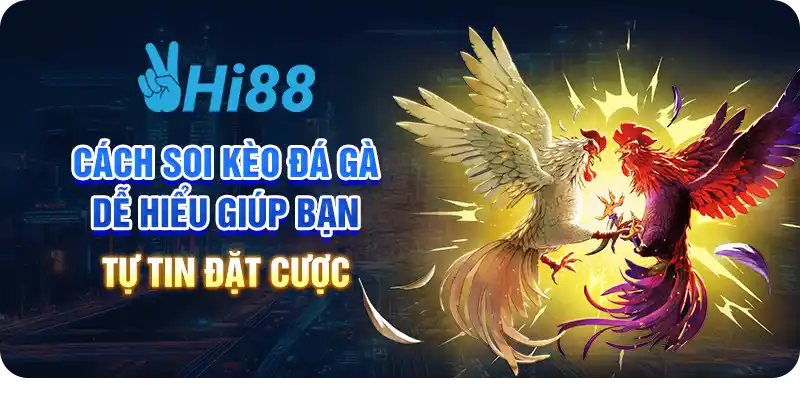 Cách soi kèo đá gà dễ hiểu giúp bạn tự tin đặt cược