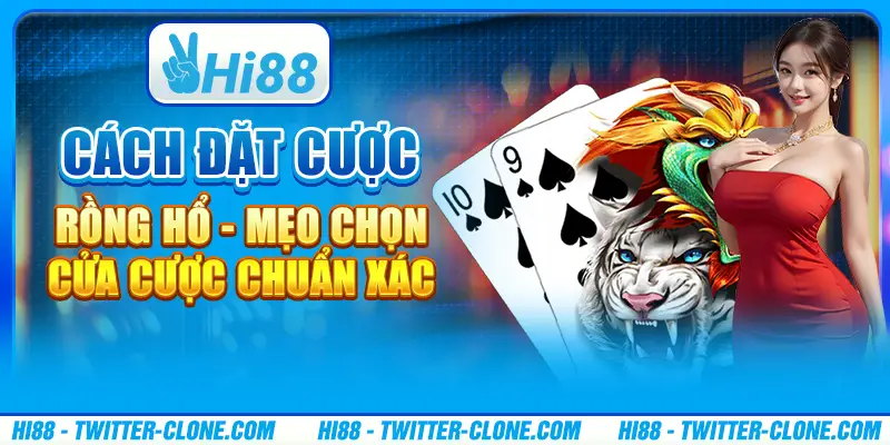 Cách đặt cược Rồng Hổ - Mẹo chọn cửa cược chuẩn xác