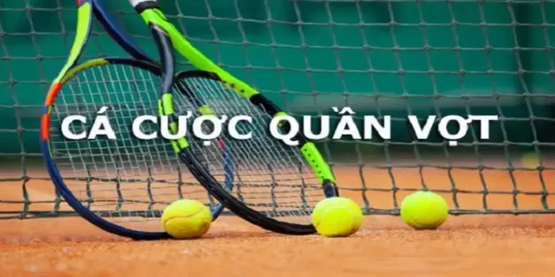 Tổng hợp chiến lược cá cược tennis hiệu quả