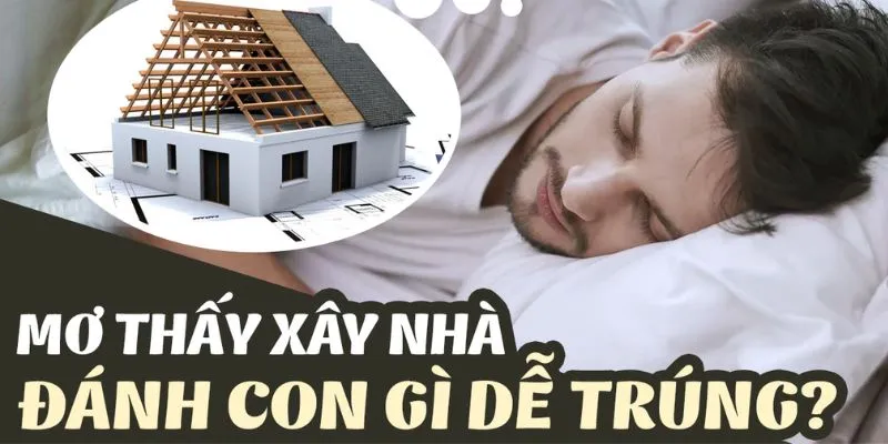 Tổng hợp những con số may mắn liên quan đến giấc mơ 