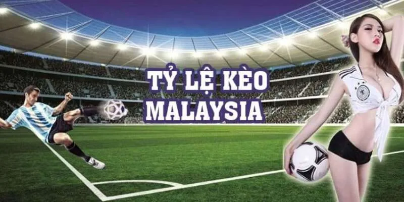 Hướng dẫn đọc tỷ lệ kèo Malaysia cho người mới