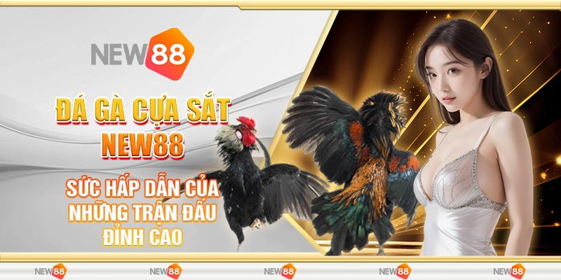 Đá Gà Cựa Sắt New88 - Sức Hấp Dẫn Của Những Trận Đấu Đỉnh Cao