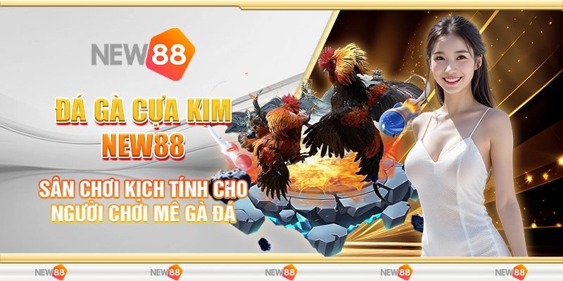 Đá Gà Cựa Kim New88 – Sân Chơi Kịch Tính Cho Người Chơi Mê Gà Đá