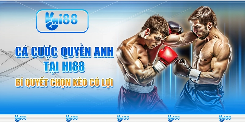 Cá cược quyền anh tại Hi88 - Bí quyết chọn kèo có lợi