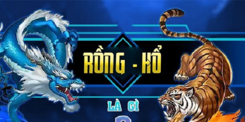 Tham gia Rồng Hổ game cùng nhà cái